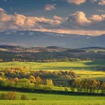 Wysoka Trawa Gruszkow *