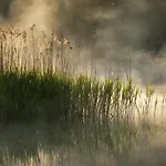 Wysoka Trawa Gruszków