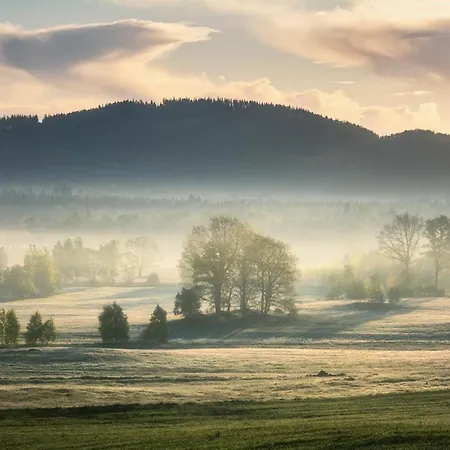 Wysoka Trawa Gruszków Kowary