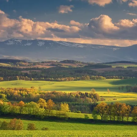 Wysoka Trawa Gruszkow *