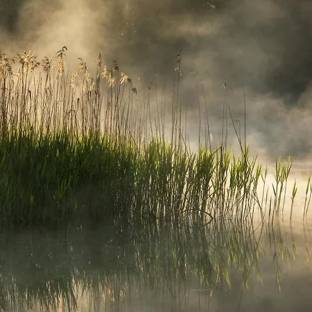 Wysoka Trawa Gruszkow