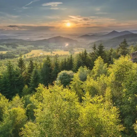 Wysoka Trawa Gruszków *