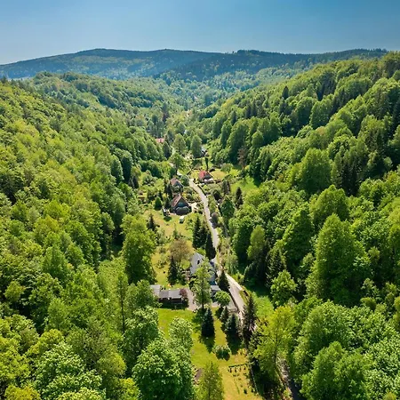 Wysoka Trawa Gruszkow