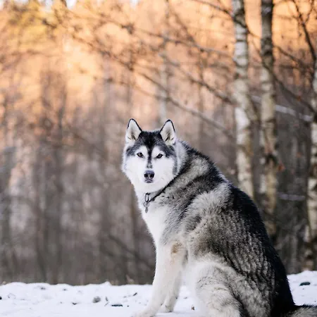 Casa de Férias Wysoka Trawa Gruszków