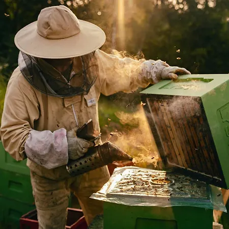 Wysoka Trawa Gruszkow
