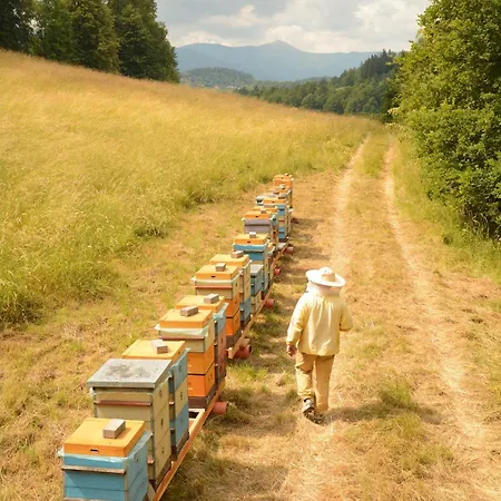 Wysoka Trawa Gruszków Casa de Férias