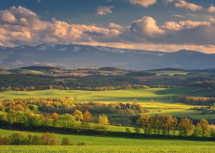 Wysoka Trawa Gruszkow *