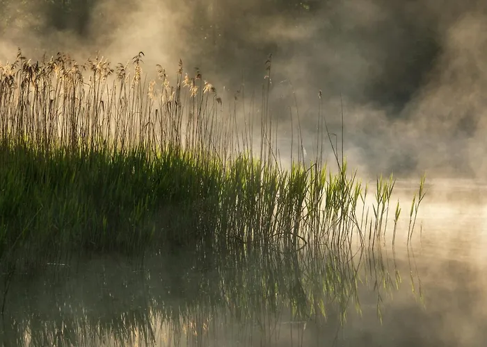 Wysoka Trawa Gruszkow