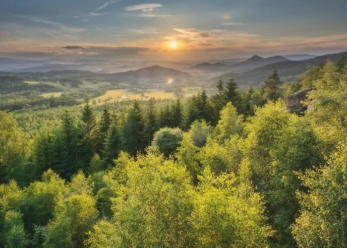 Wysoka Trawa Gruszkow *