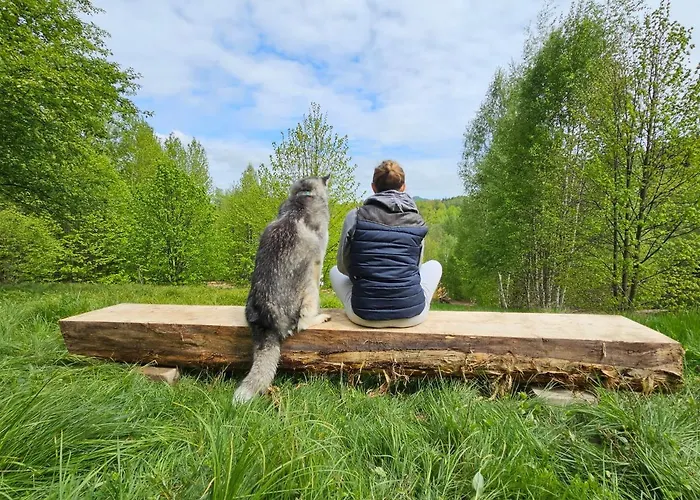 Wysoka Trawa Gruszkow