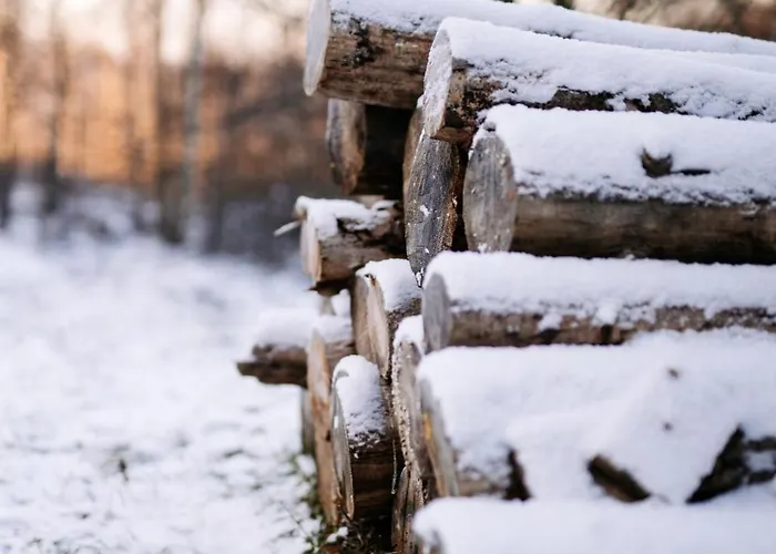 Wysoka Trawa Gruszkow *