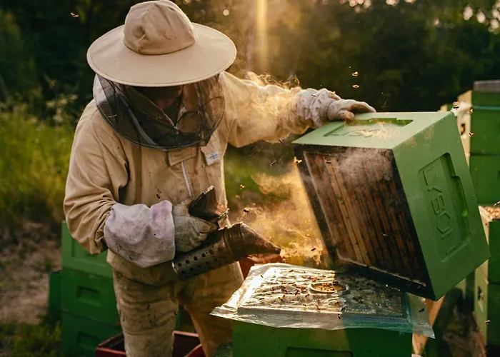 Wysoka Trawa Gruszkow