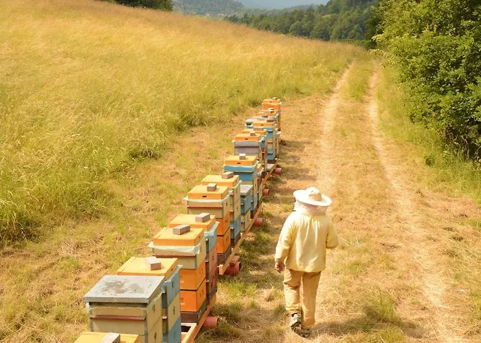 Wysoka Trawa Gruszkow Holiday home